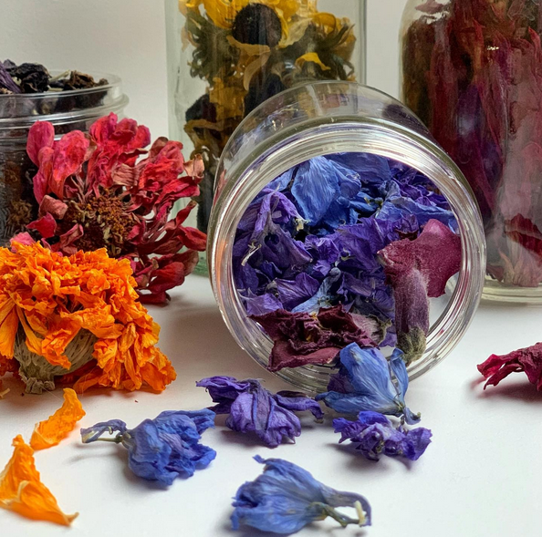 blue and purple dried flower blossoms spilling out of a mason jar onto a white table. orange dried petals to the left