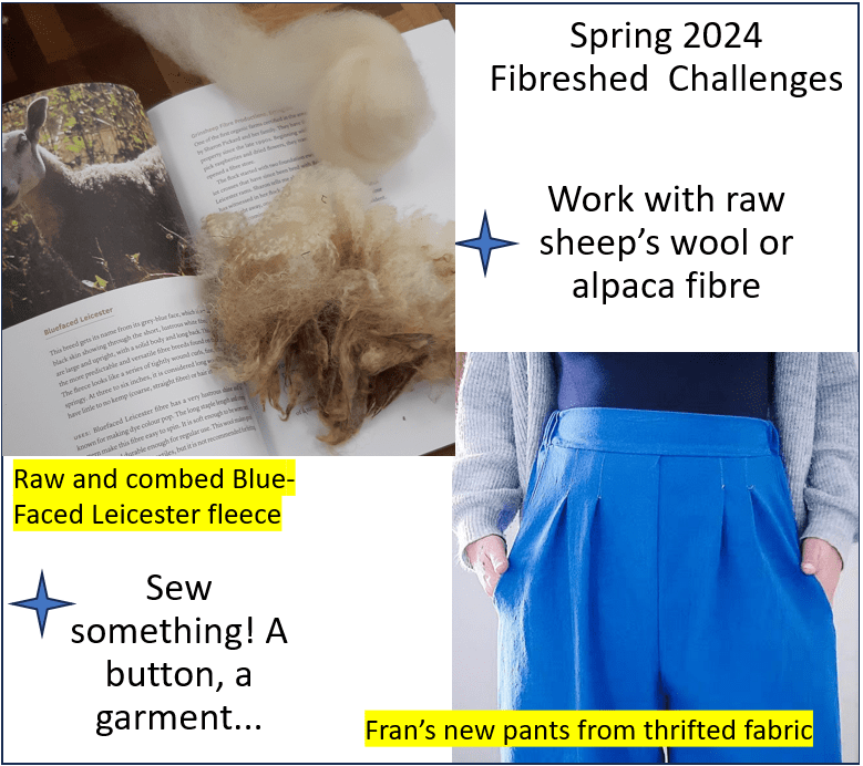 spring 2024 challenges include working with raw sheep's wool or alpaca fibre and sewing. image includes raw and combed BFL wool and handmade blue pants