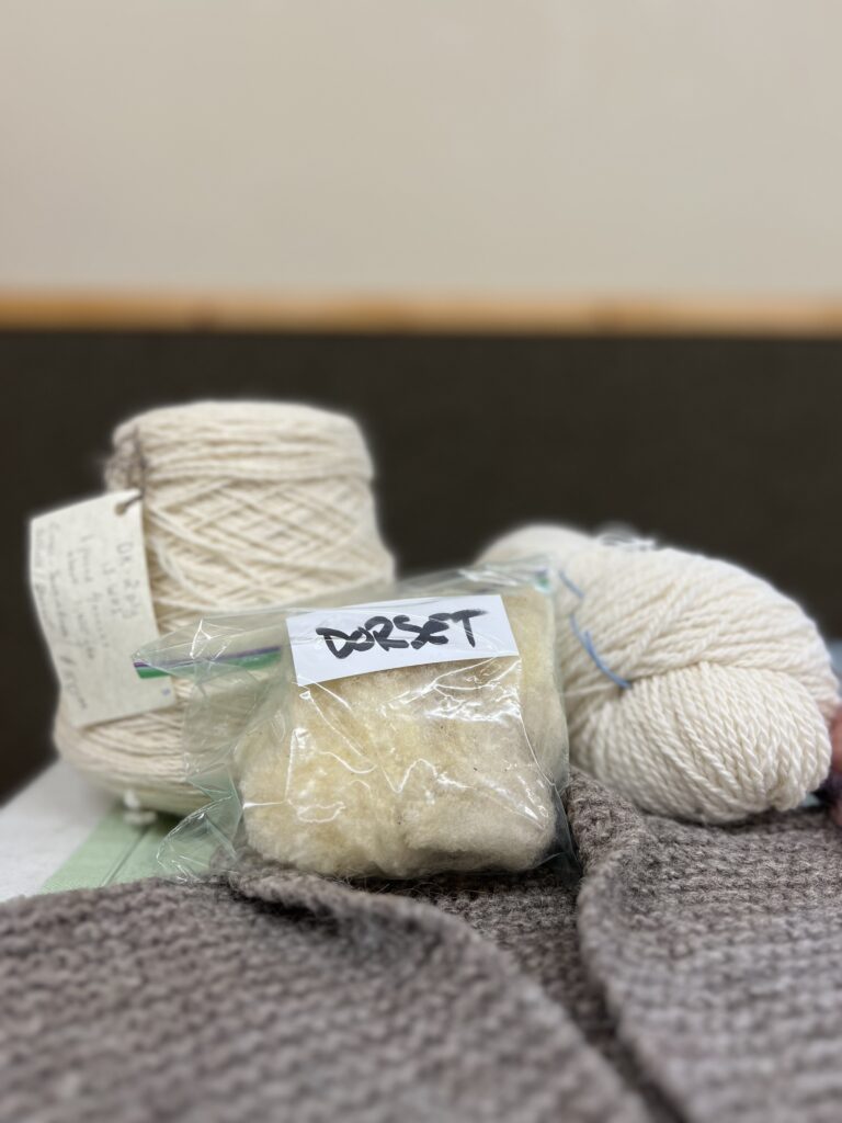 white yarn and Dorset fleece samples resting on a table. 