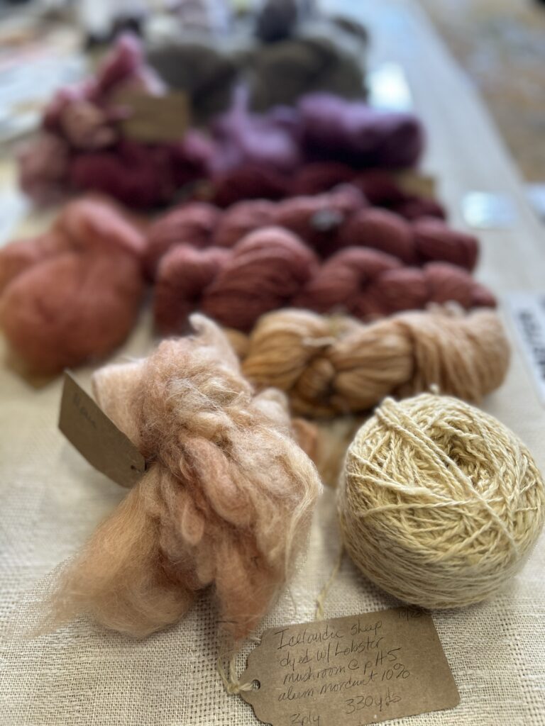 freshly dyed mushroom yarns
