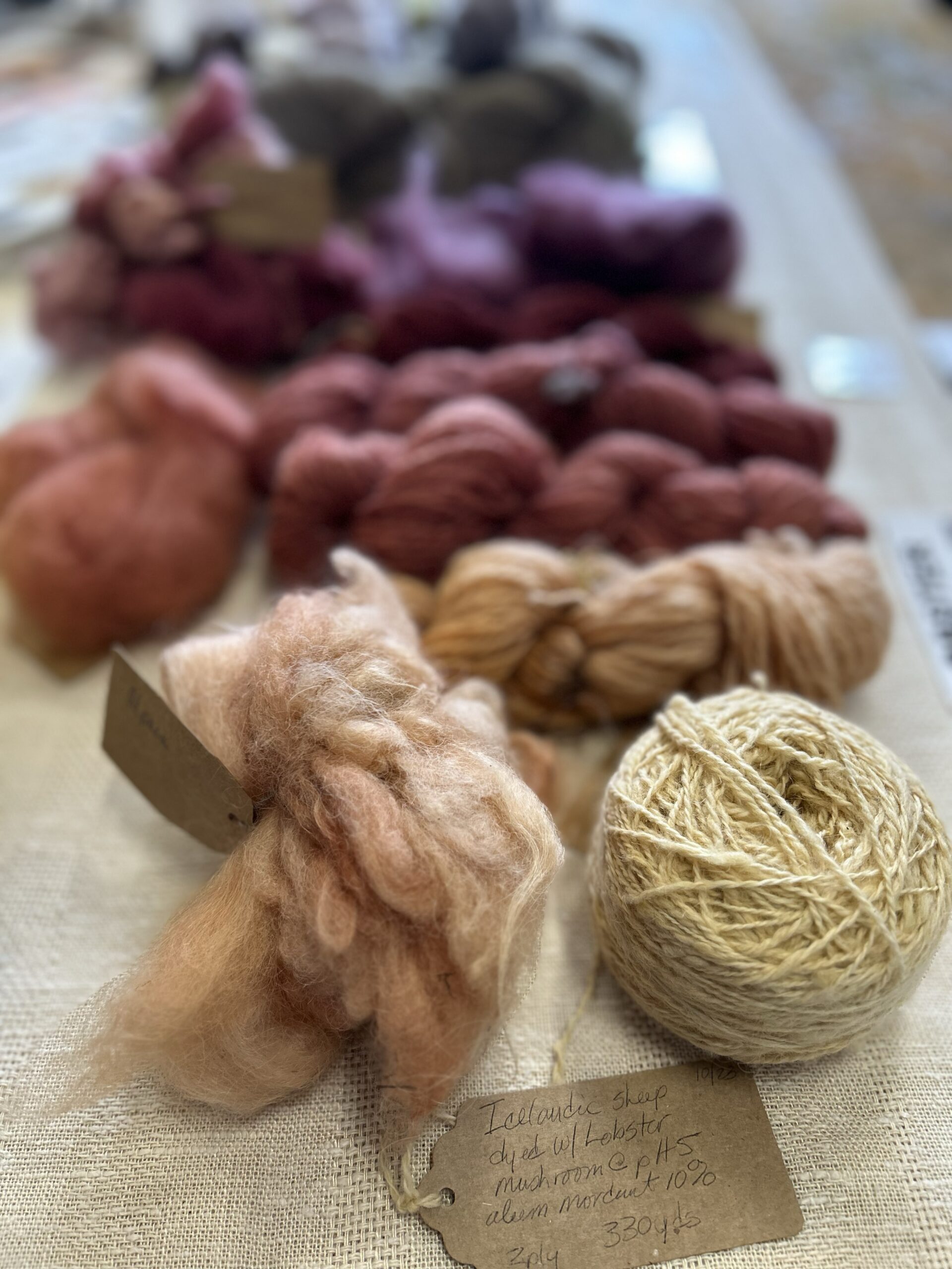freshly dyed mushroom yarns