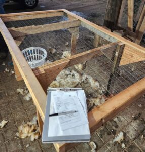 wood and wire mesh table with clipboard and wool fleece